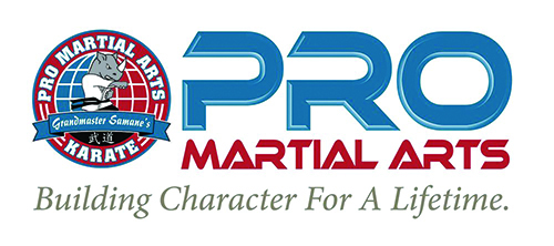 pro martial arts logo