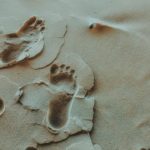 pexels min an 723997 big foot