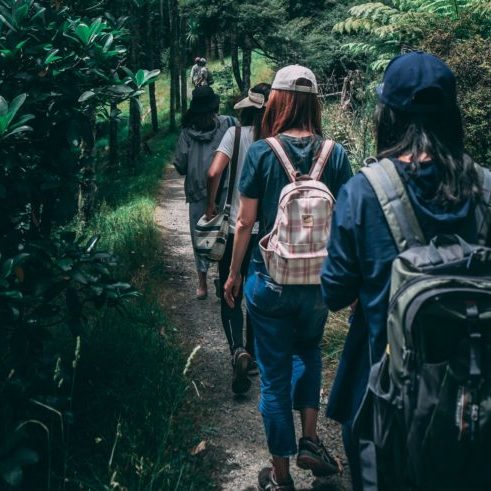 Group hiking in lush green forest trail.