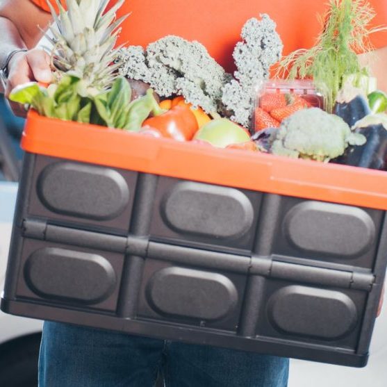 Person holding crate of fresh assorted vegetables and fruits.